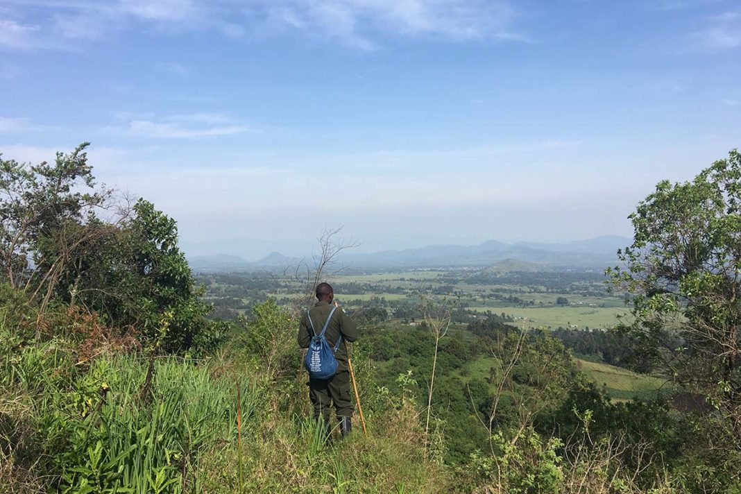 Gorilla Trekking in Uganda