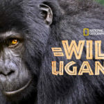 wild-uganda