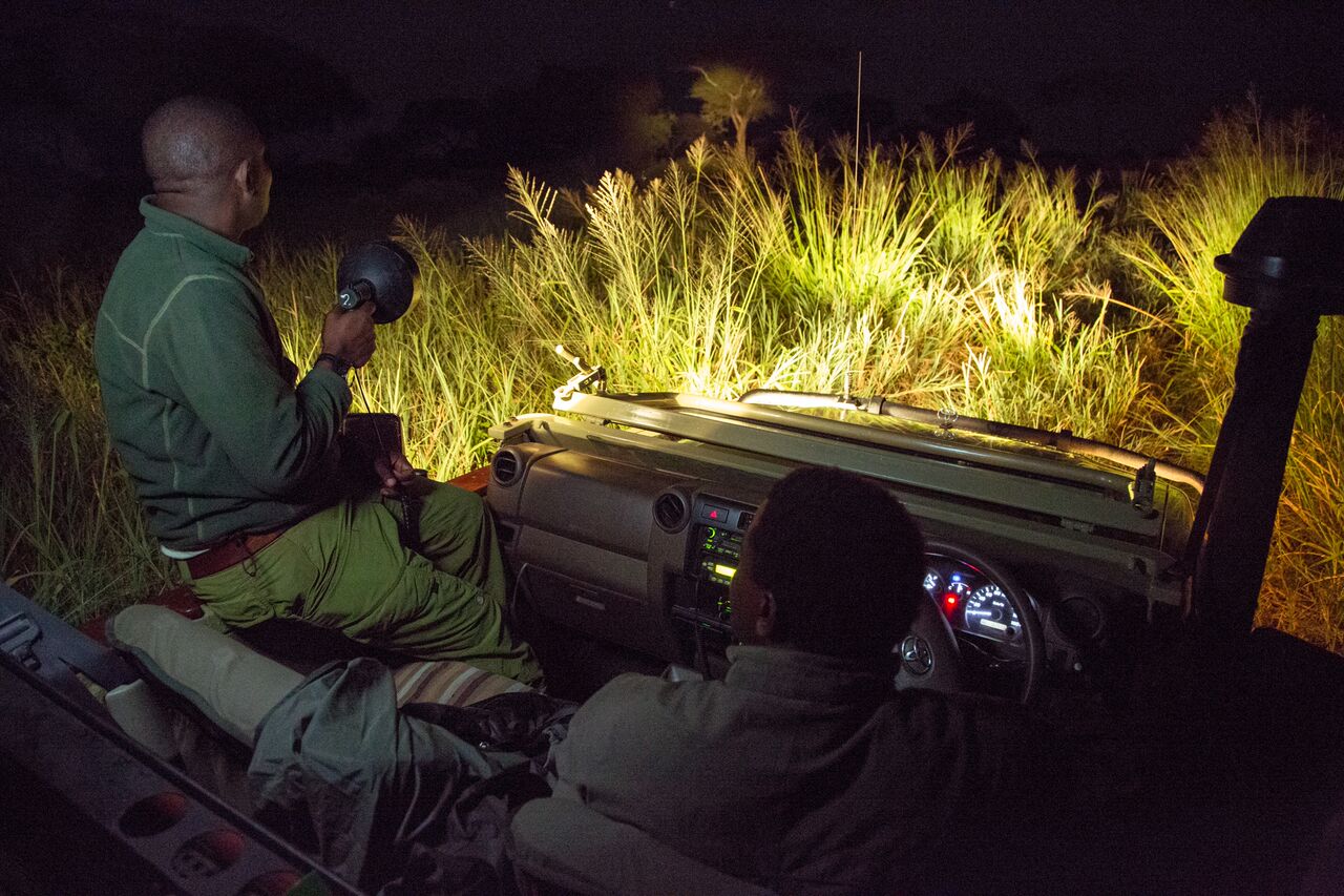 uganda night safari